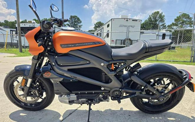 2020 Harley-Davidson® ELW - LiveWire™