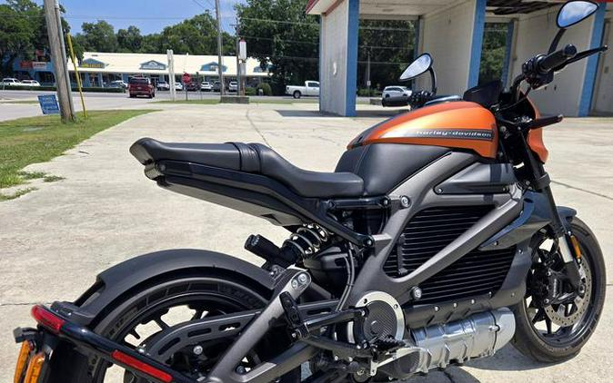 2020 Harley-Davidson® ELW - LiveWire™