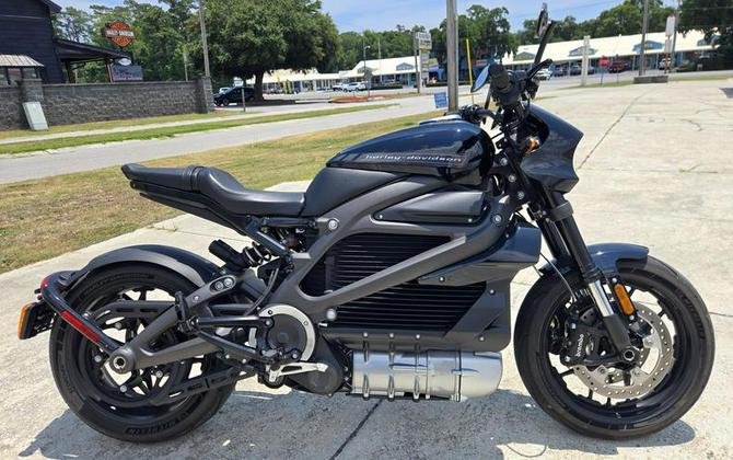 2020 Harley-Davidson® ELW - LiveWire™