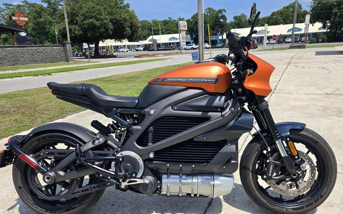 2020 Harley-Davidson® ELW - LiveWire™