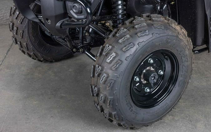 2025 Kawasaki Brute Force 300