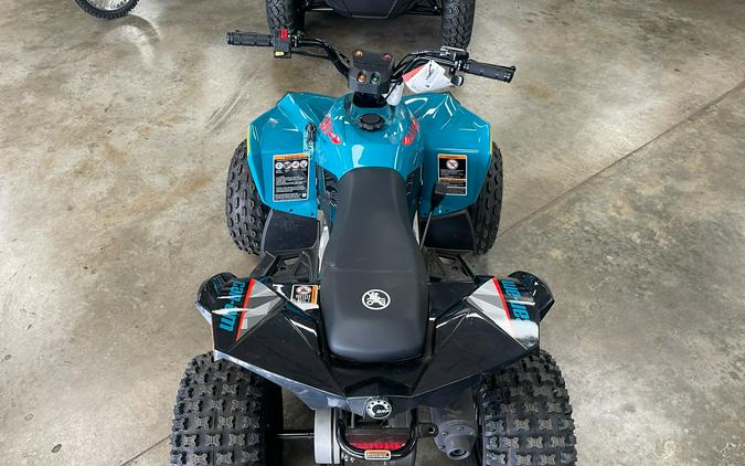 2026 Can-Am Renegade 110 EFI