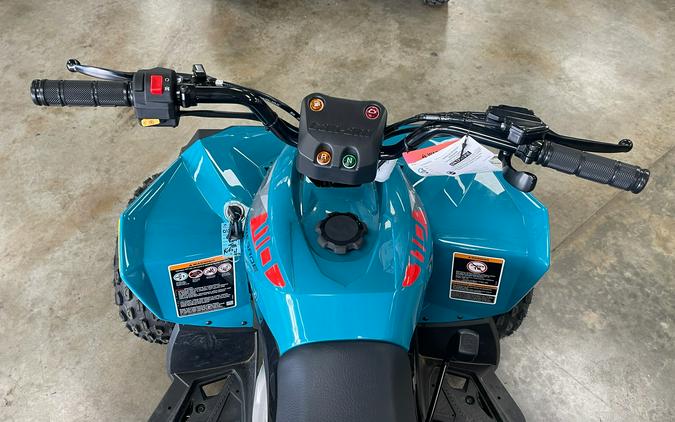 2026 Can-Am Renegade 110 EFI