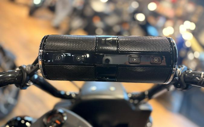 2024 Indian Motorcycle SPRINGFIELD DH SAGEBRUSH SMOKE 49ST Dark Horse