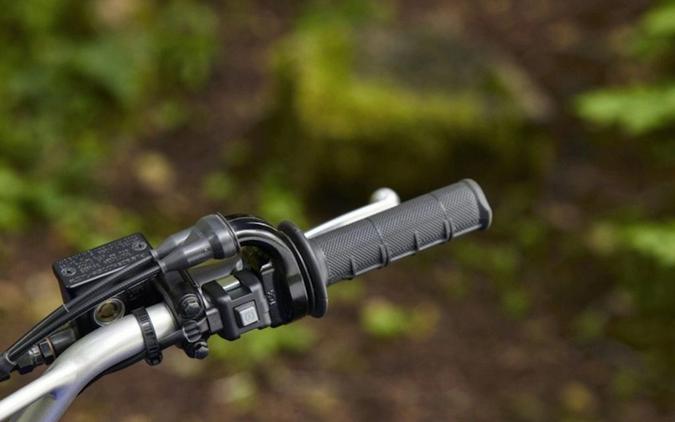 2026 Yamaha TT-R 125LE