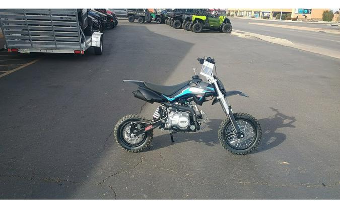 2025 SSR Motorsports SR110 SE