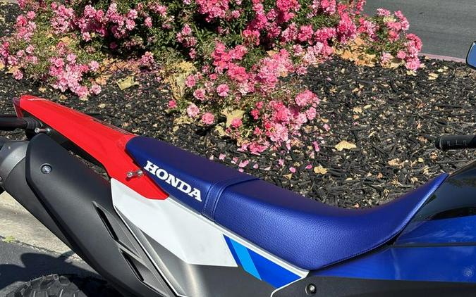 2026 Honda® CRF300L Rally