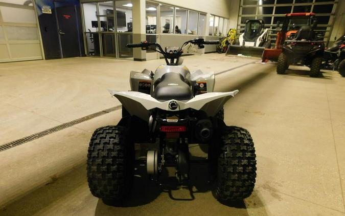 2026 Can-Am® Renegade 110 EFI