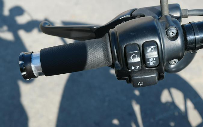 2021 HARLEY SPORTSTER IRON 883