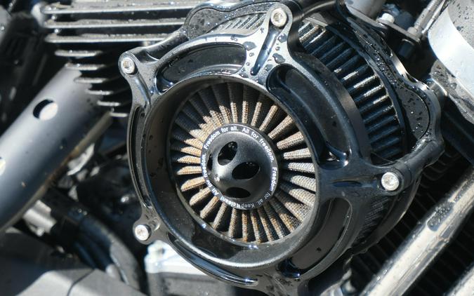 2021 HARLEY SPORTSTER IRON 883