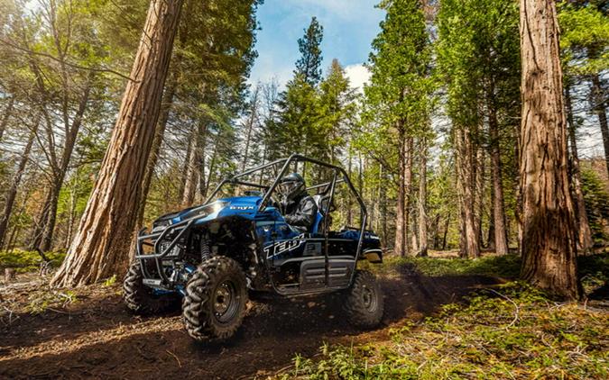 2022 Kawasaki Teryx®