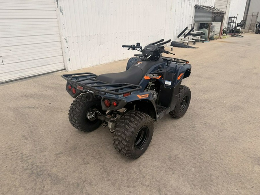 2026 Kawasaki Brute Force 300