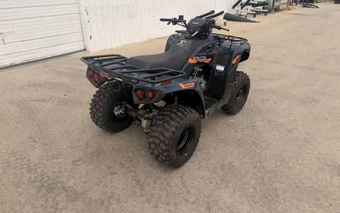 2026 Kawasaki Brute Force 300