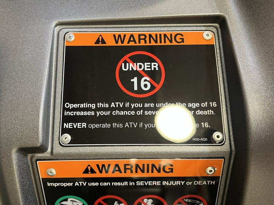 2026 Honda® FourTrax Foreman Rubicon 4x4 EPS Matte Gray Metallic