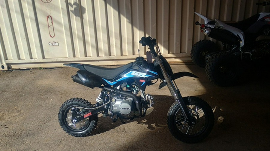 2025 SSR Motorsports SR110 SE