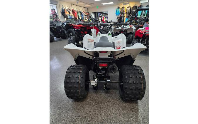 2026 Kawasaki KFX 90