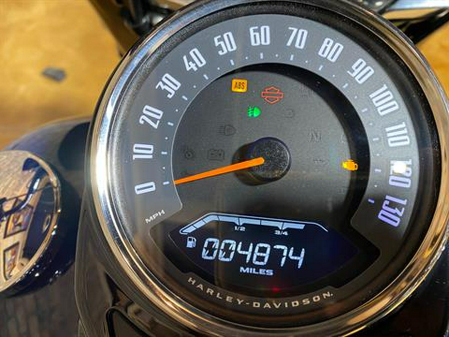 2019 Harley-Davidson Heritage Classic 107
