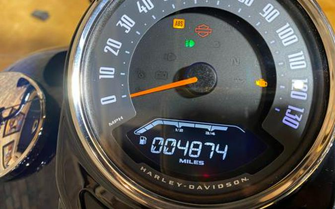 2019 Harley-Davidson Heritage Classic 107
