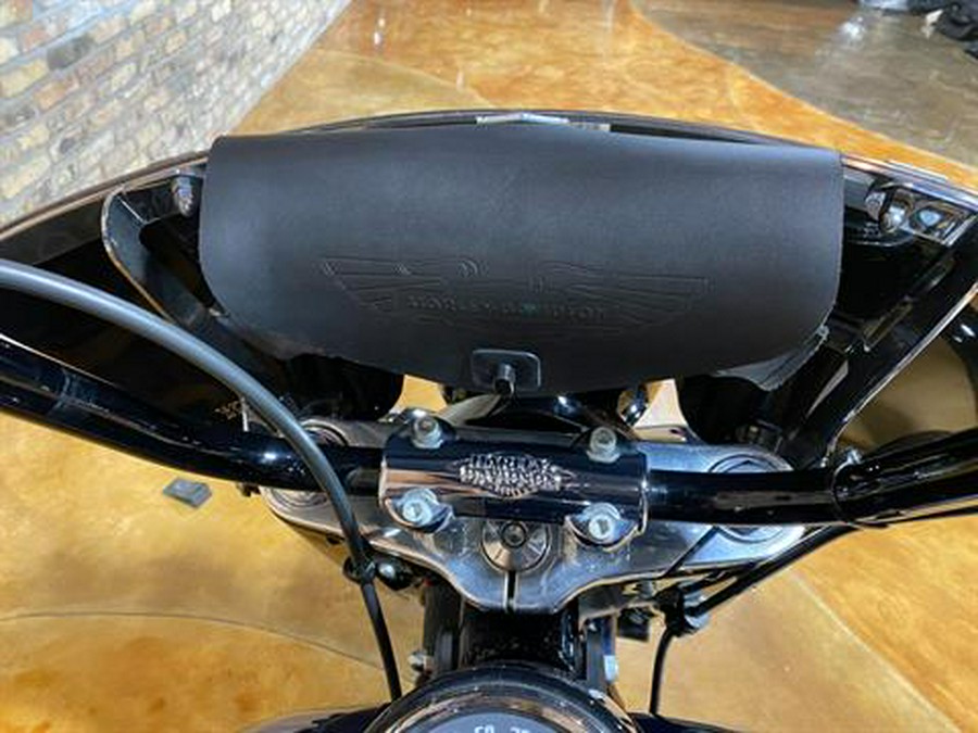 2019 Harley-Davidson Heritage Classic 107