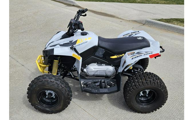 2024 Can-Am Renegade 110 EFI Gray & Yellow / Blue & Black