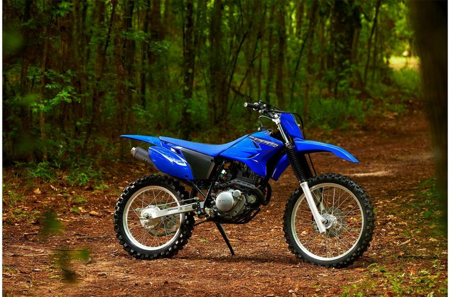 2023 Yamaha TT-R230 CA