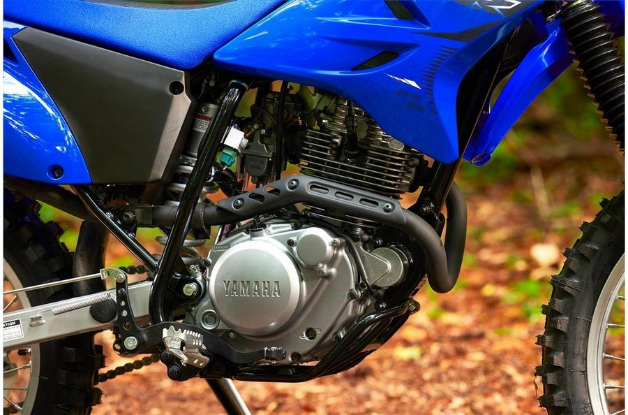 2023 Yamaha TT-R230 CA