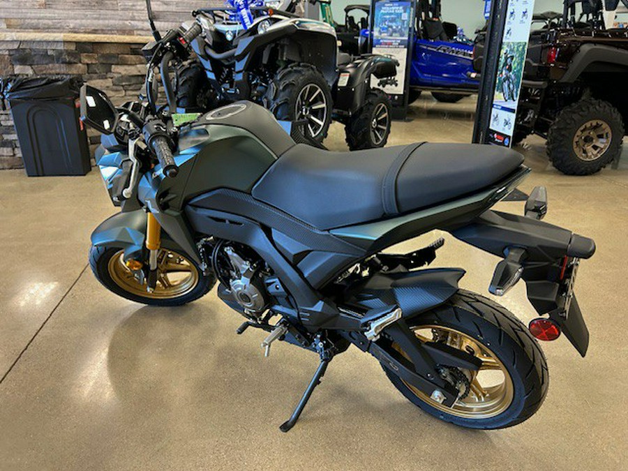 2025 Kawasaki Z125 PRO