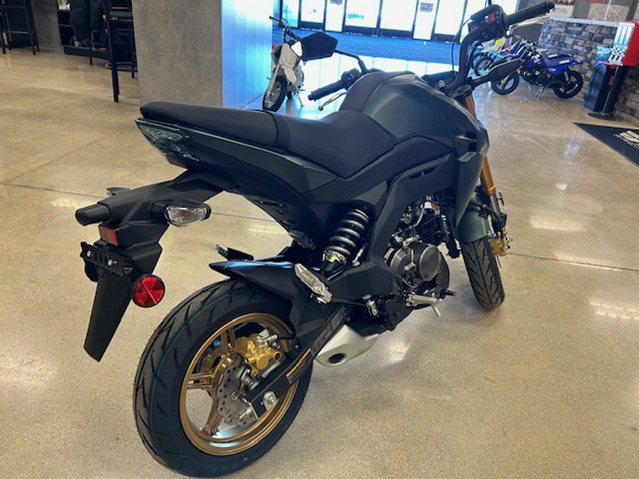 2025 Kawasaki Z125 PRO