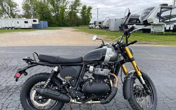 2026 BEAR - GOLDEN SHADOW BLACK - Royal Enfield