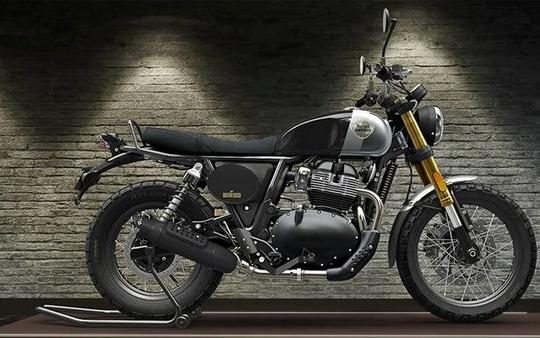 2026 BEAR - GOLDEN SHADOW BLACK - Royal Enfield