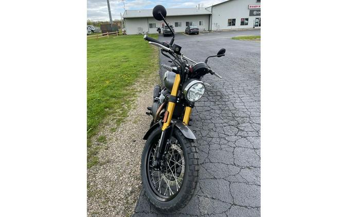 2026 BEAR - GOLDEN SHADOW BLACK - Royal Enfield