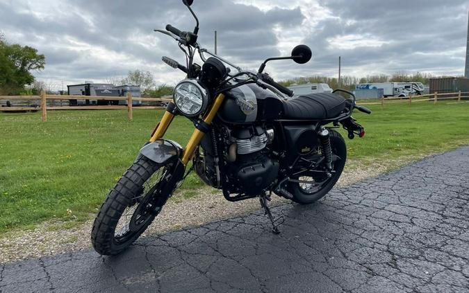 2026 BEAR - GOLDEN SHADOW BLACK - Royal Enfield