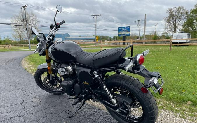 2026 BEAR - GOLDEN SHADOW BLACK - Royal Enfield