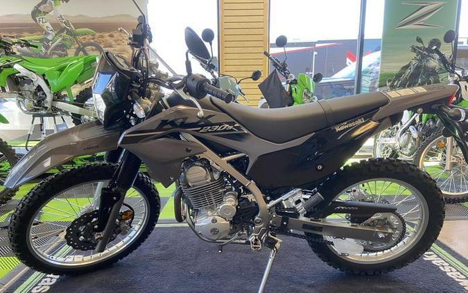 2023 Kawasaki KLX230LPFNN