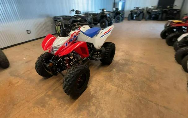 2026 Honda® TRX250X