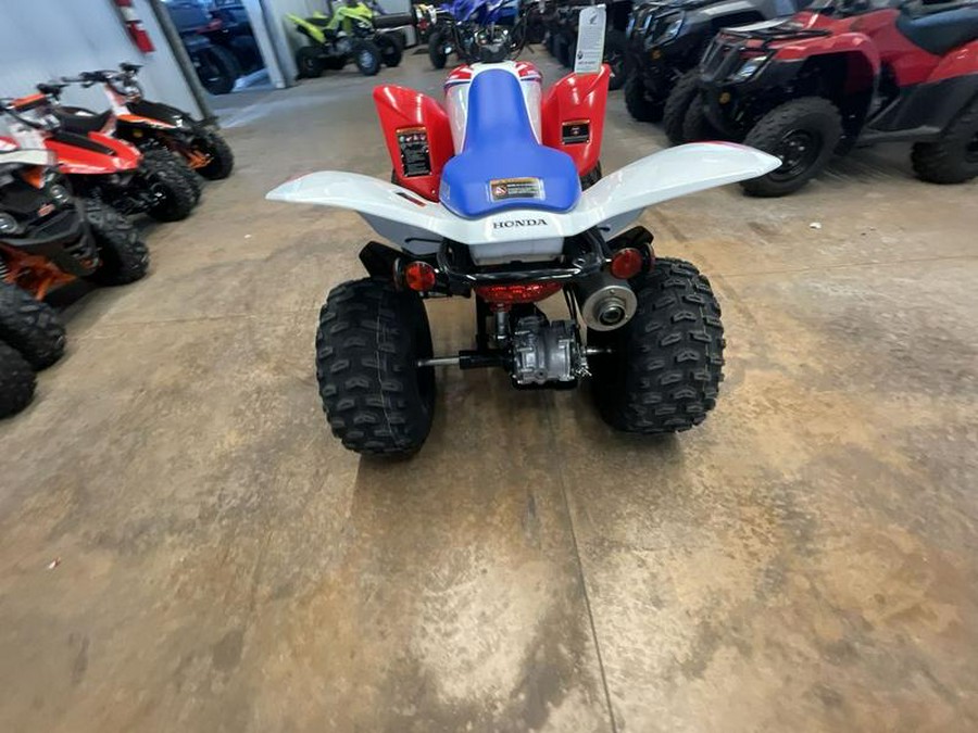 2026 Honda® TRX250X