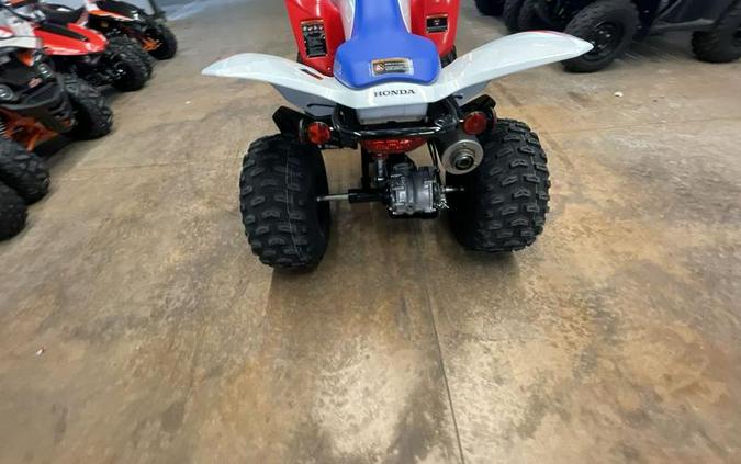 2026 Honda® TRX250X