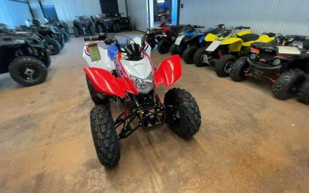 2026 Honda® TRX250X