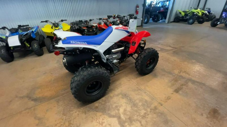 2026 Honda® TRX250X