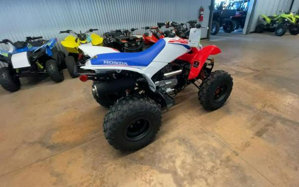 2026 Honda® TRX250X