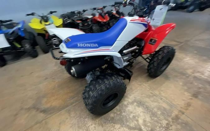 2026 Honda® TRX250X