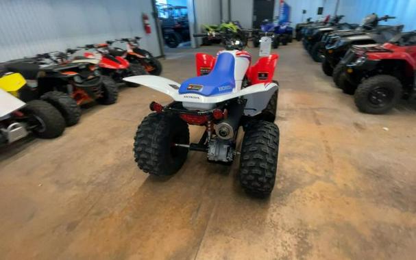 2026 Honda® TRX250X