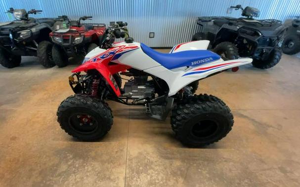 2026 Honda® TRX250X