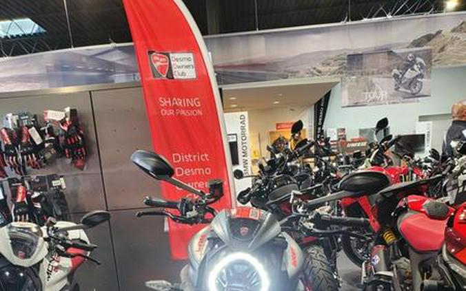 2024 Ducati Monster Plus Aviator Grey