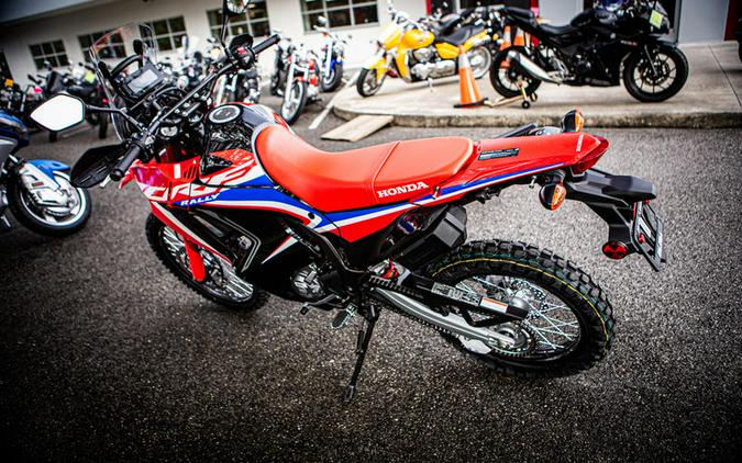 2023 Honda® CRF300L Rally