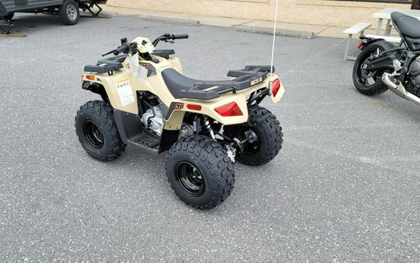 2022 Arctic Cat Alterra 90