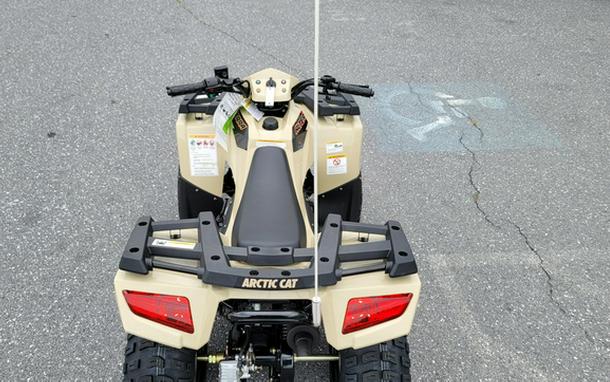 2022 Arctic Cat Alterra 90