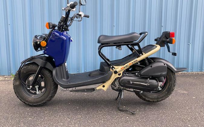 2023 Honda RUCKUS