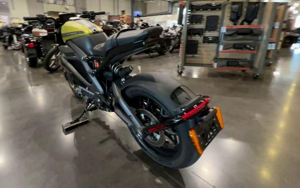 2020 Harley-Davidson LiveWire First Ride