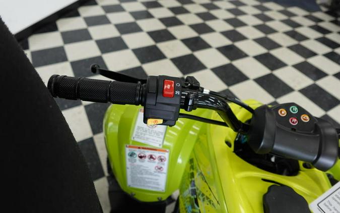 2026 Yamaha Raptor 110